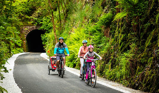 Family with kids cycling at Barnagh Tunnel on Limerick Greenway. Photo: Sean Curtin